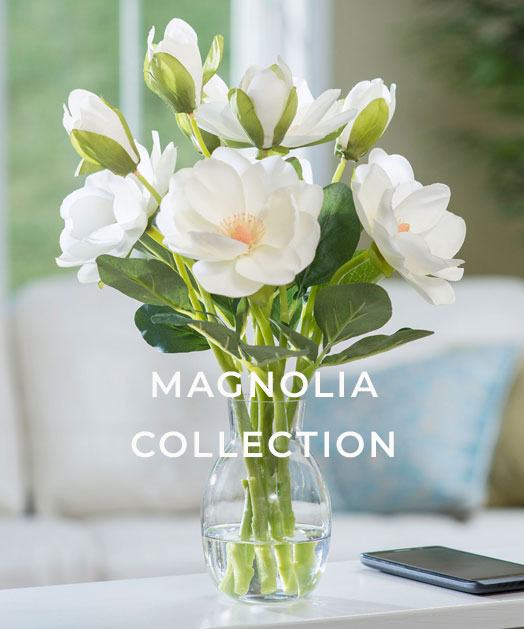 The Magnolia Collection