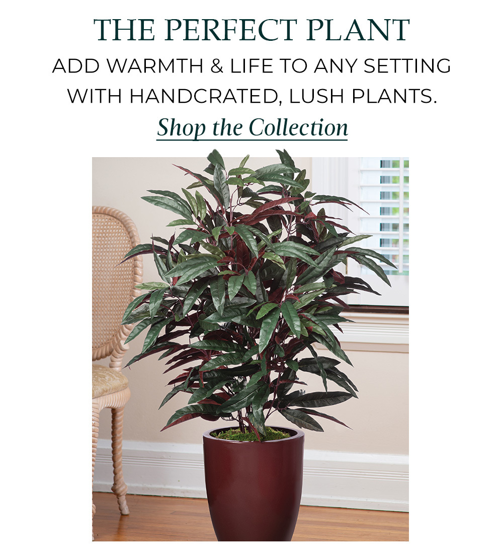 The Perfect Plant: Realistic, high-quality silk and artificial plants. Available at Petals. 