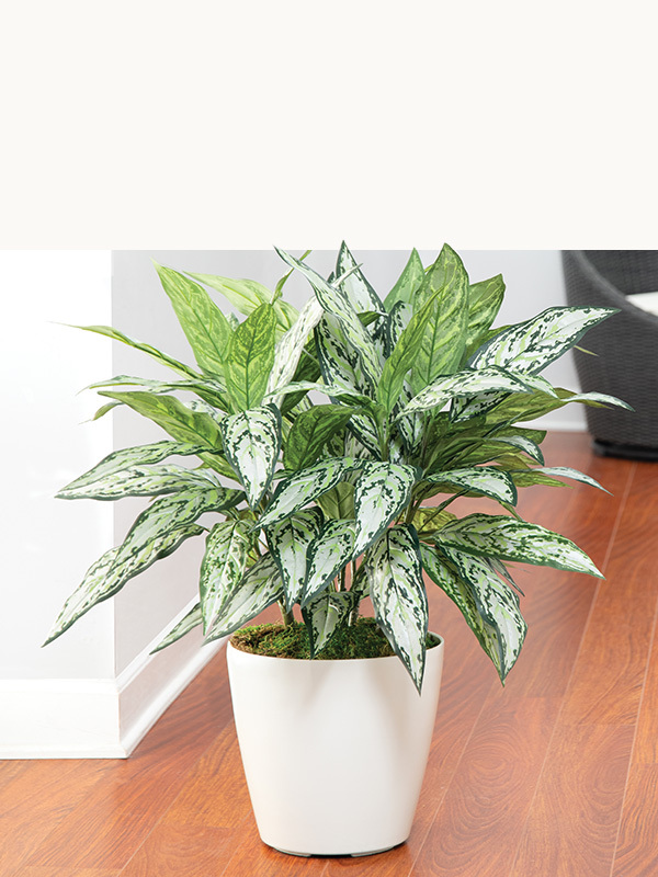 Artificial floor plants by Petals featuring realistic lush green foliage, handcrafted faux indoor plants for living rooms, entryways, offices, bedrooms, and interior décor with maintenance-free botanical style.