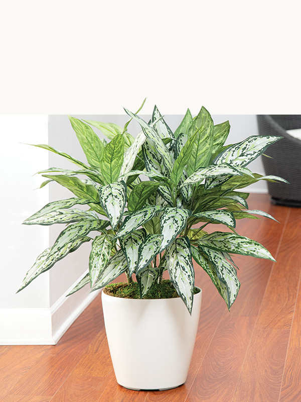 Artificial floor plants by Petals featuring realistic lush green foliage, handcrafted faux indoor plants for living rooms, entryways, offices, bedrooms, and interior décor with maintenance-free botanical style.
