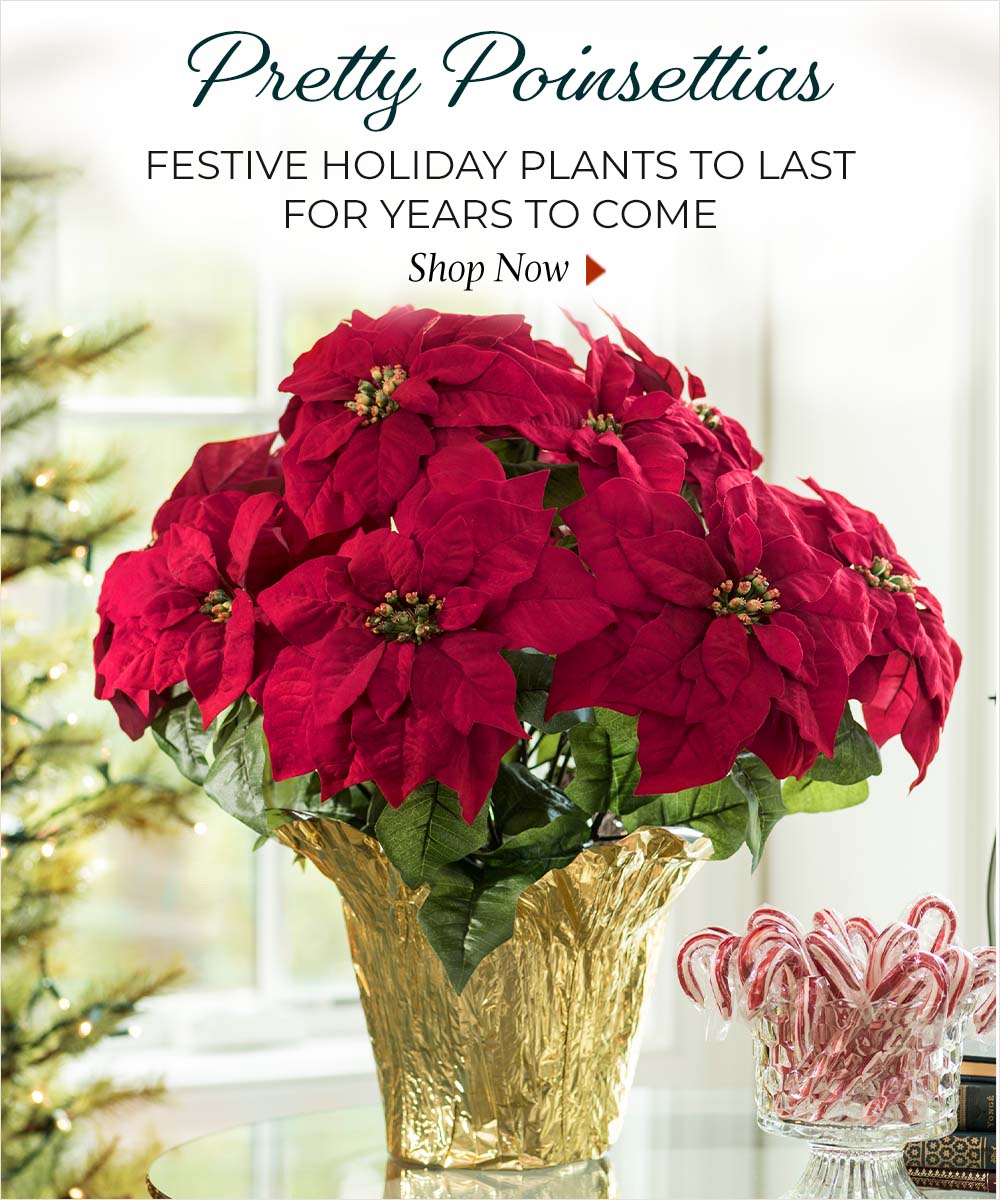 Order Silk Flower Arrangements, Artificial Plants and Trees at Petals