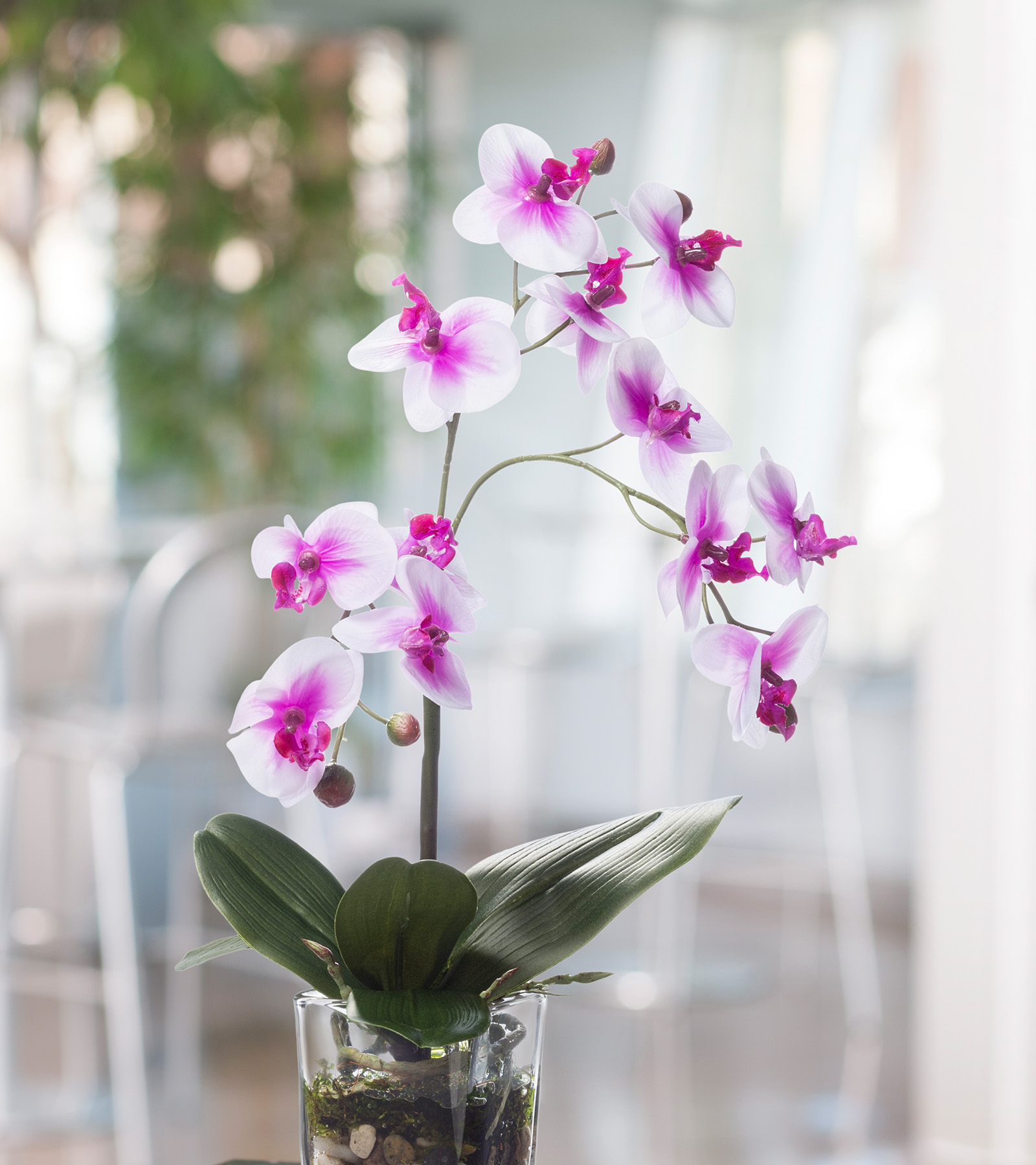 White orchid silk arrangement