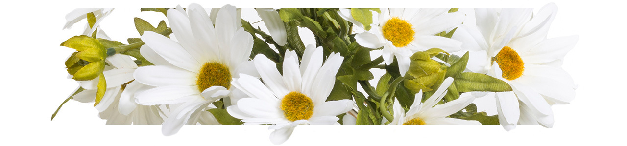 White daisy floral banner for Mother's Day featured gifts