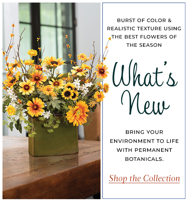 What's New. New Designs from Petals.