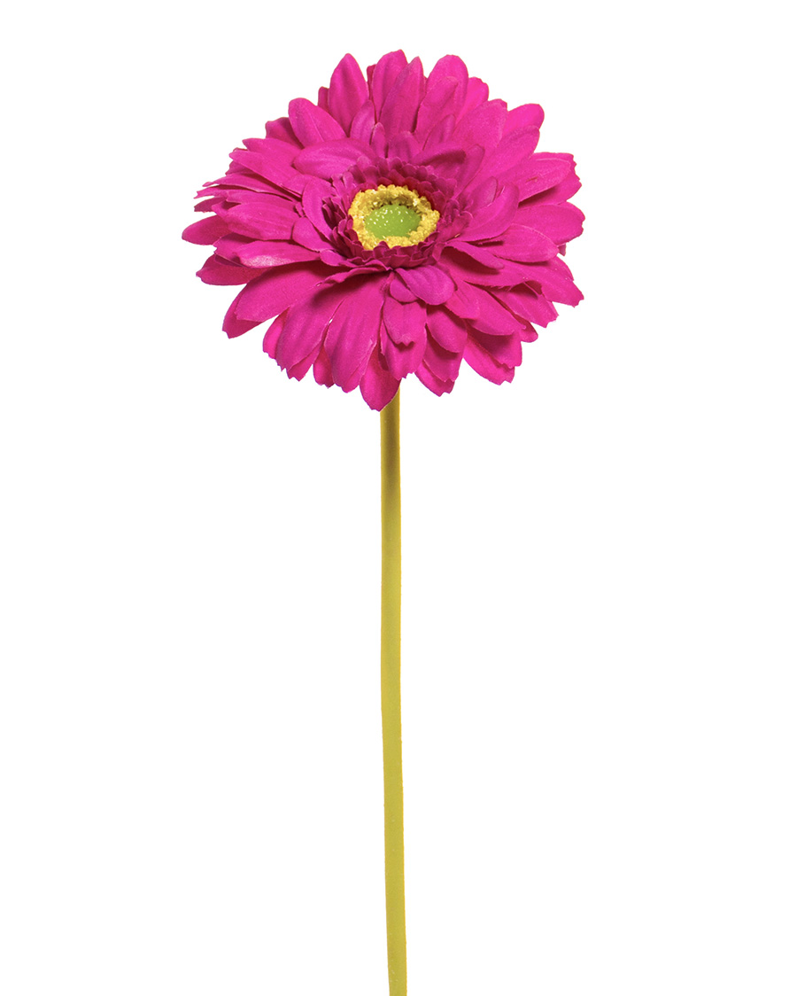 Flower Power Stem Cutter - PlentyFlora Gerbera Flowers Grower