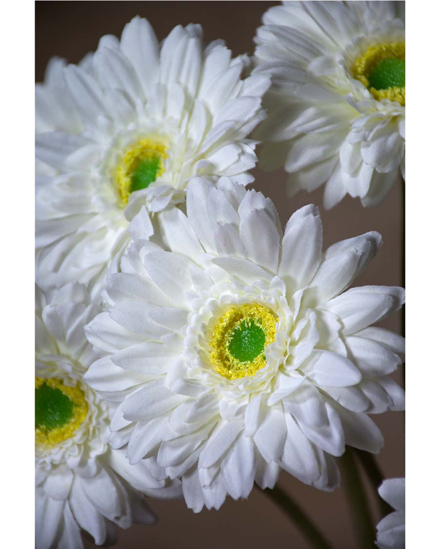 Sunjoy Tech Fake Daisy Flowers, 3PCS Faux Gerbera Daisies Silk