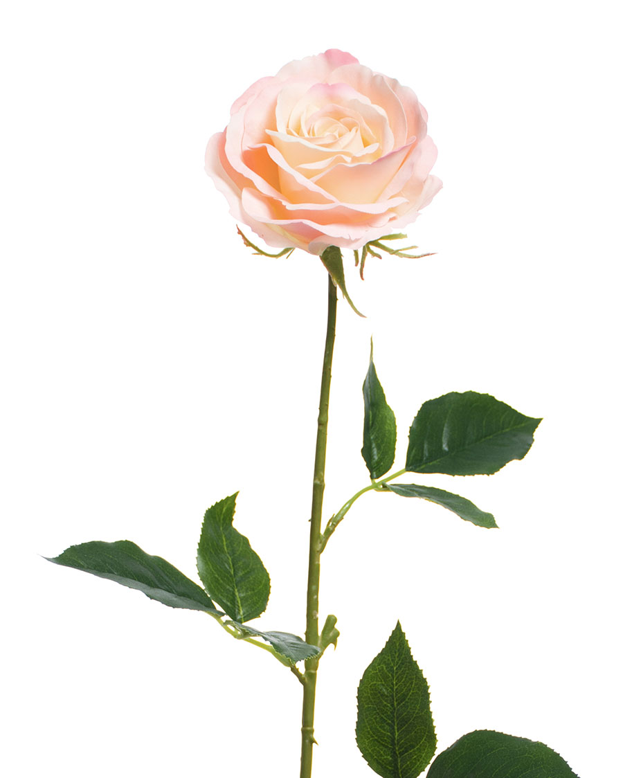 29 Open Rose Silk Flower Stem