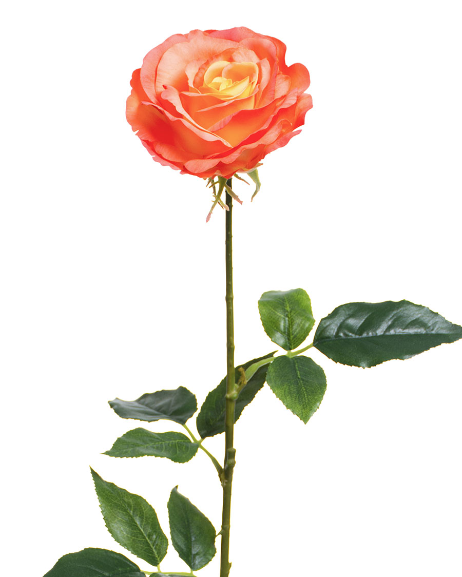 29 Open Rose Silk Flower Stem