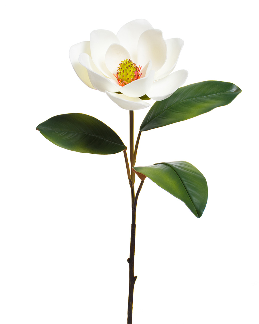 Stock Flower Stem - Magnolia