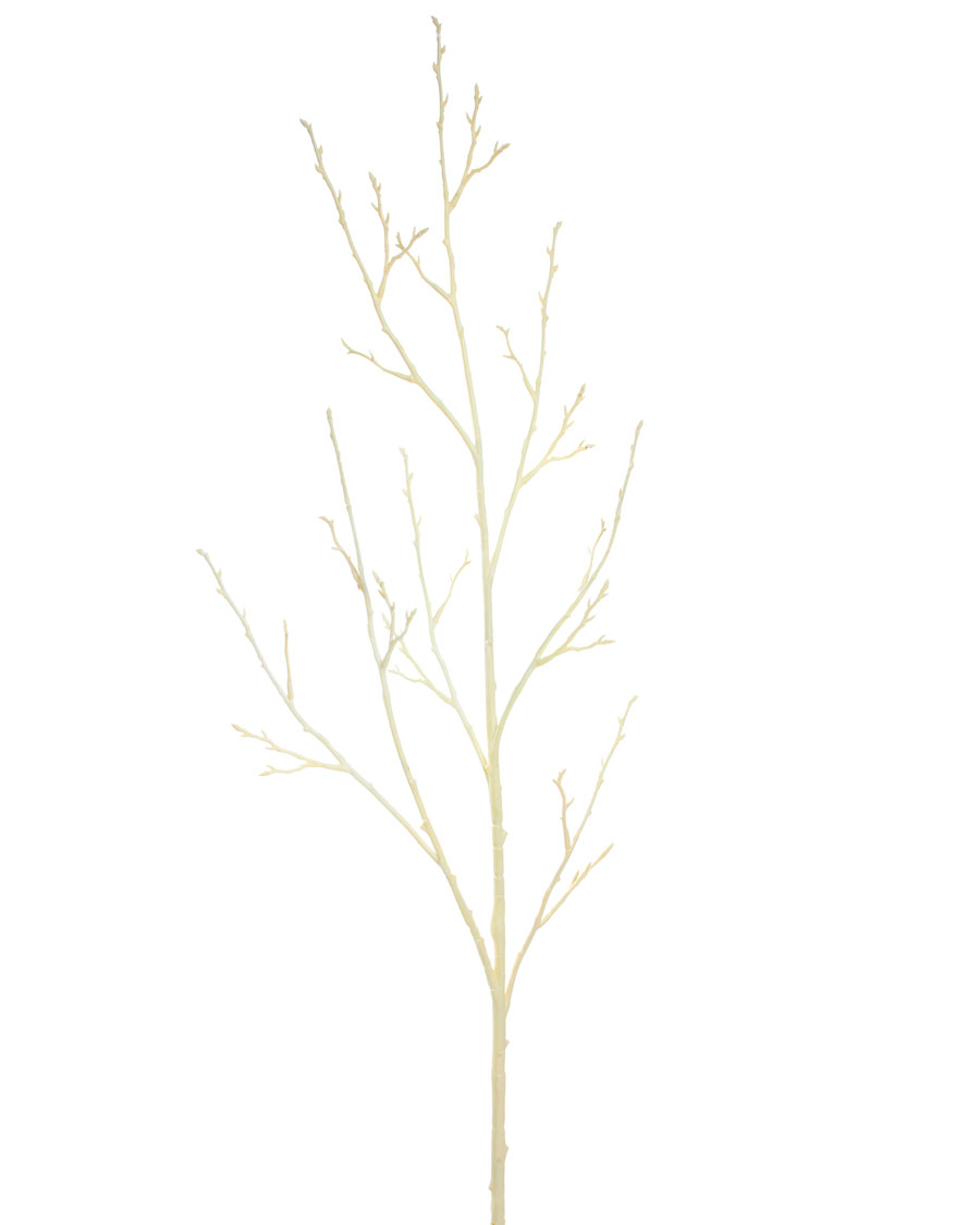 31,469 Birch Twig Royalty-Free Images, Stock Photos & Pictures