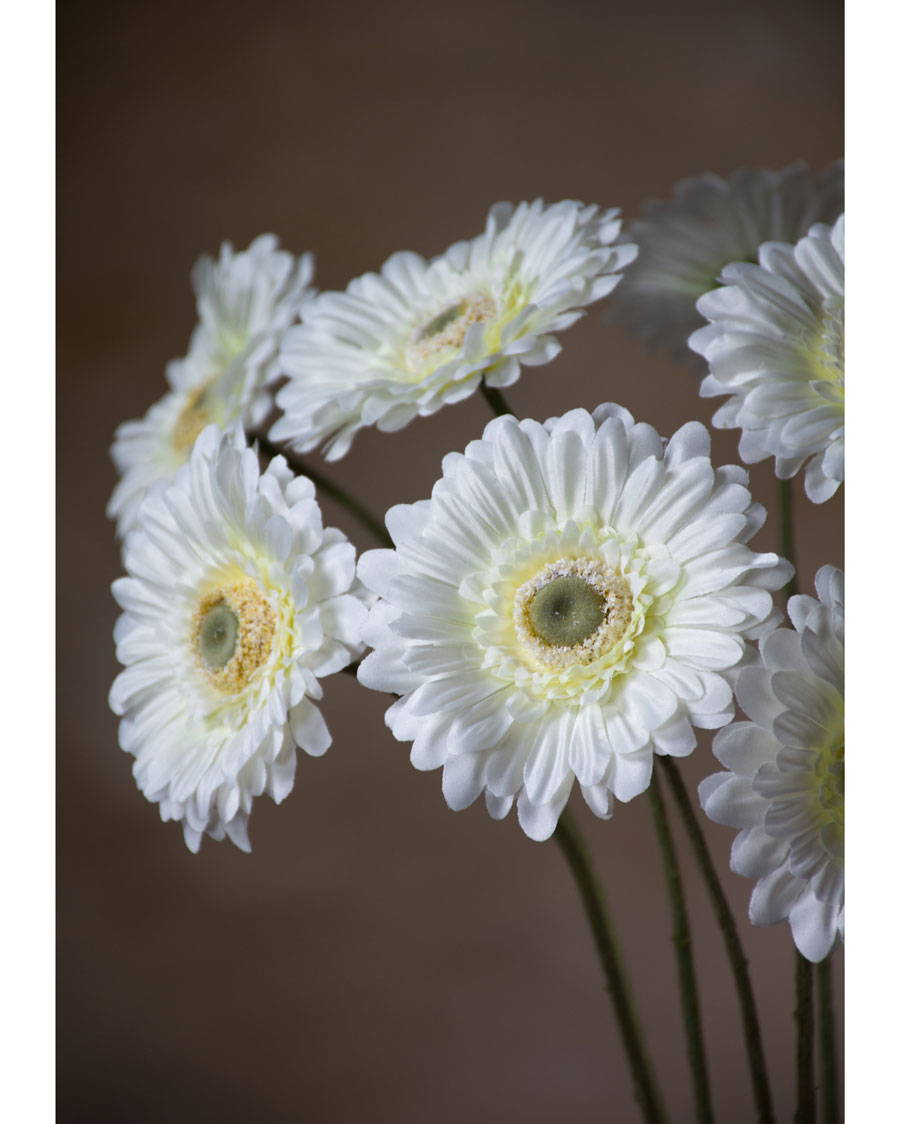 25 Silk Gerbera Daisy Faux Flower Stem