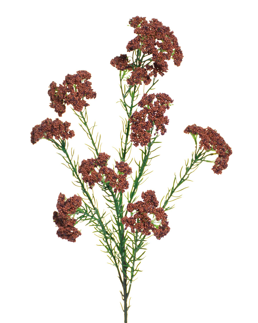 Dried Rice Flower-pink