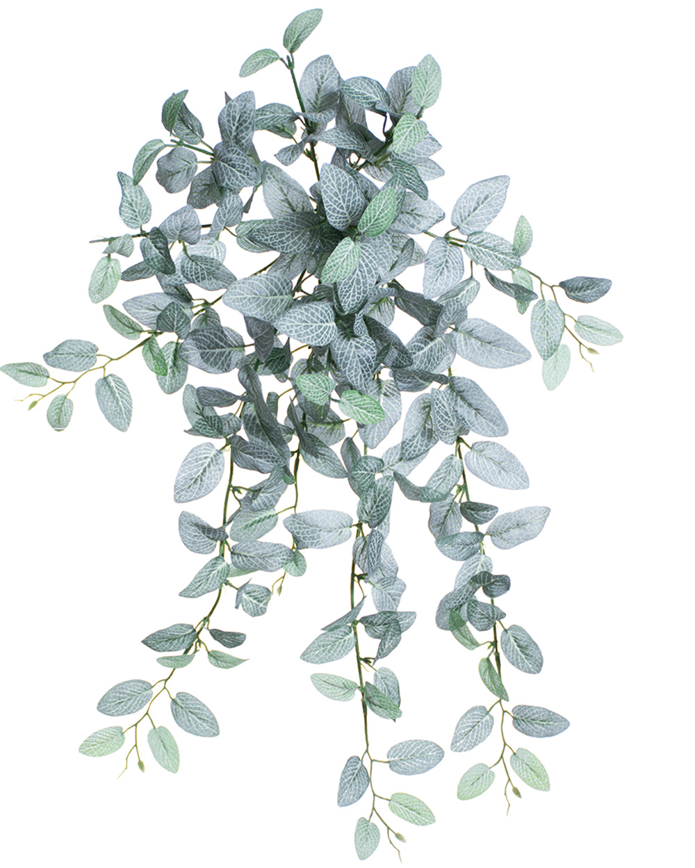 20" Mini Fittonia Artificial Hanging Bush