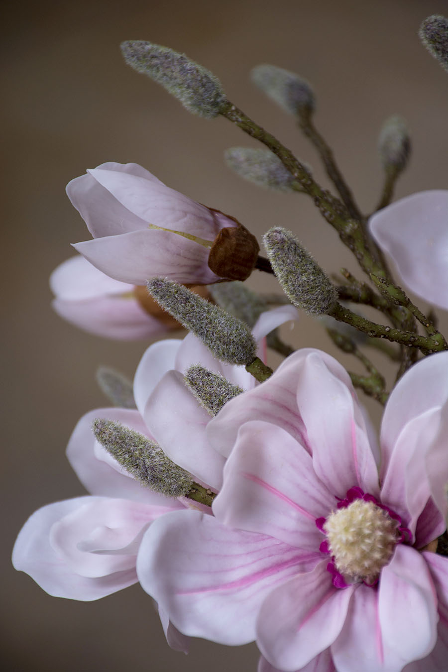 Magnolia Floral Stem, 30