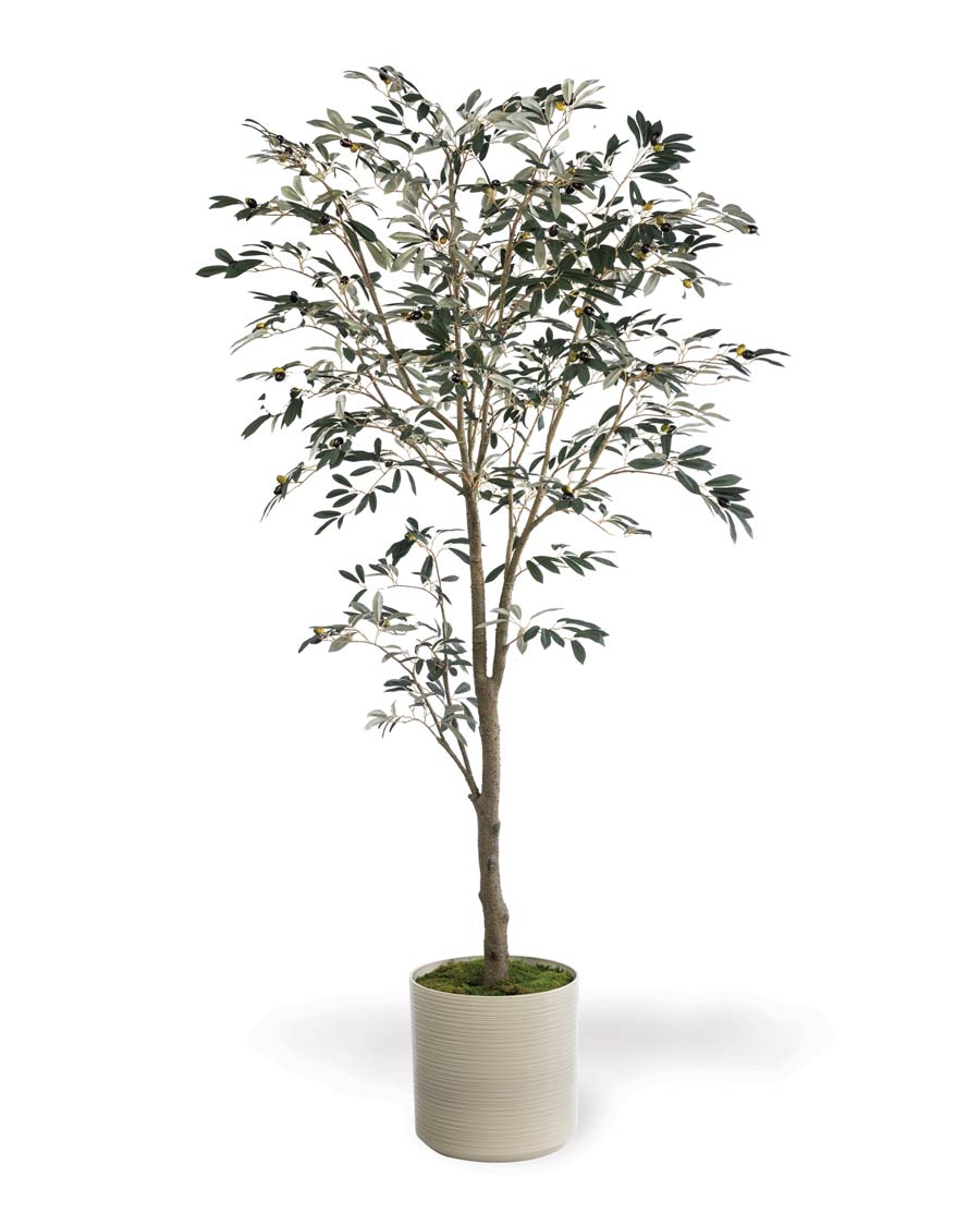 Artificial Olive 7' Tree with Artisan Mediterranean Planter