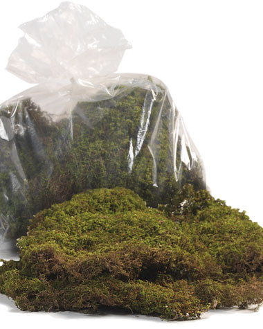 Artificial Green Water Sphagnum Moss Sheet - Drieds + Natural
