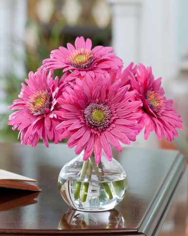 New Pink Daisy Artificial Flower Long Branch Bouquet Family