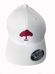 Callaway Rutherford 1931 Flexfit Hat (Adjustable) 2022 Golf Cap NEW Callaway Rutherford 1931 Flexfit Hat (Adjustable) 2022 Golf Cap NEW