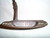 Ping Pal 4 BeCu Putter 35" (Beryllium Copper) Karsten Pal4 Golf Club