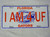 NCAA College License Plate ("I AM 4 UF", Florida Gators) NEW