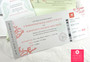 Boarding Pass Invitations + RSVP Tag Style in Folder