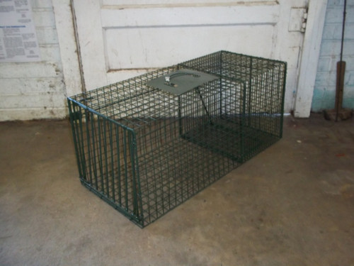 Live Trap 12" X 12" X 30"
