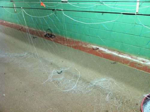 300 FT TIE DOWN GILL NETS-SUPERIOR OR COMMERCIAL-SEE DESCRIPTION