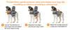 ThunderShirt for Dogs