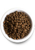 Open Farm Ancient Grains Beef Recipe