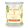 One Fur All Mandarin Sage Candle