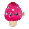 Territory Mushroom 2-in-1 Toy