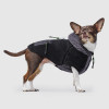 Canada Pooch Cool Factor Hoodie Gray