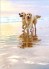 Avanti Press Golden Retriever Dogs Walking on the Beach Anniversary Card