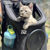 Travel Cat "The Fat Cat" Cat Backpack Navy
