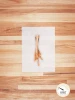 Farm Hounds Chicken Foot