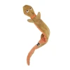 Zippy Paws Ropetilez Bearded Dragon