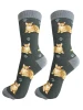 Orange Tabby Cat Fun Novelty Crew Dog Socks