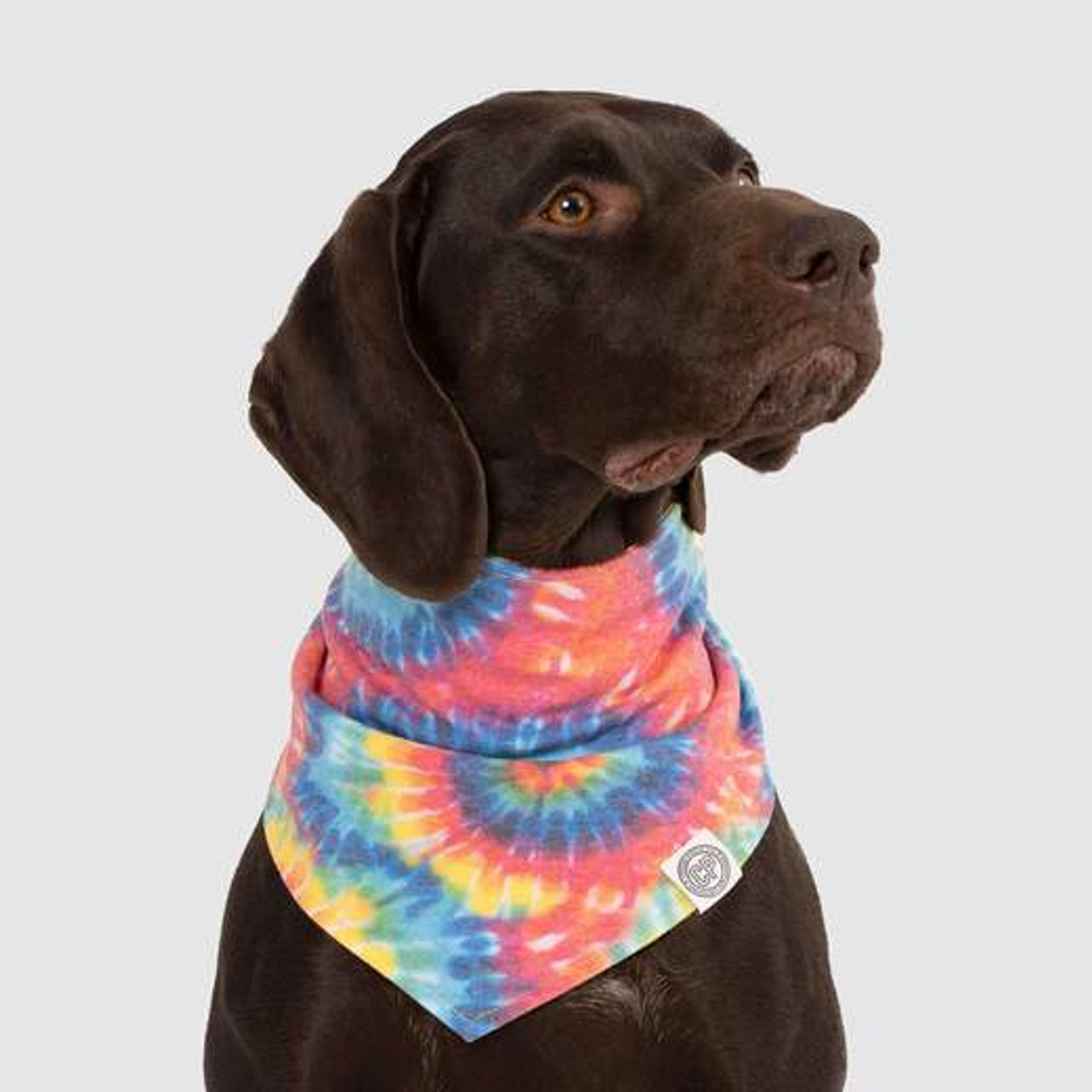 Canada hot sale pooch bandana