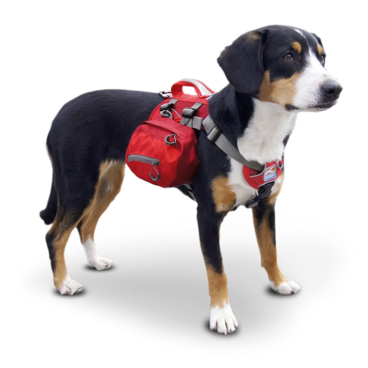 Kurgo Baxter Dog Backpack / Barn Red - WOODIN' YOU