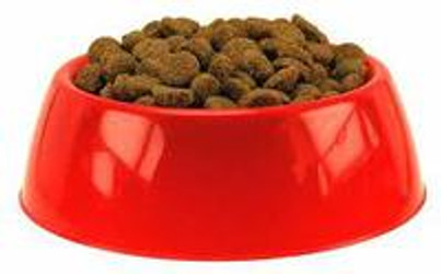 Dispelling the Mystery in Reading Dog Food Ingredient Labels