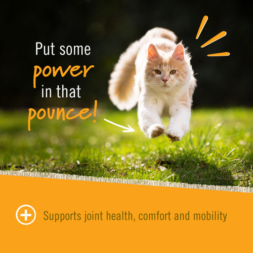 Pet Naturals Hip + Joint for Cats Pet Naturals Hip + Joint for Cats