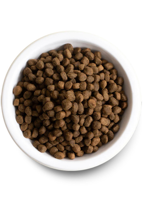 Open Farm Grain Free Beef Recipe