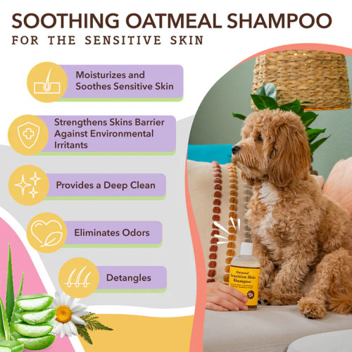 Natural Dog Company Sensitive Skin Oatmeal Shampoo 12oz Natural Dog Company Sensitive Skin Oatmeal Shampoo 12oz