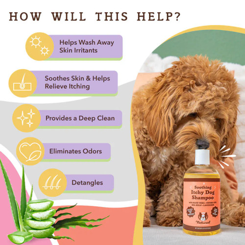 Natural Dog Company Itchy Dog Shampoo 12oz Natural Dog Company Itchy Dog Shampoo 12oz