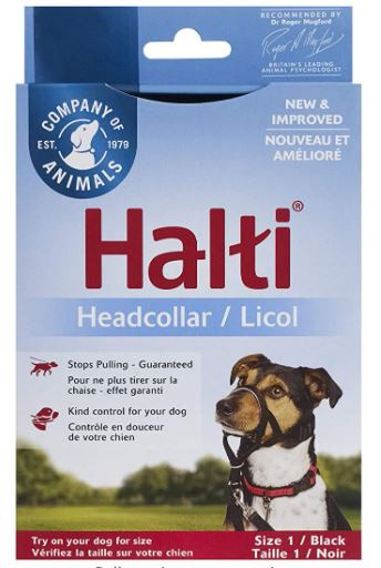 halti head collar