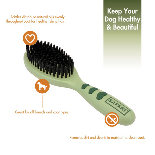 Safari Bristle Brush Safari Bristle Brush