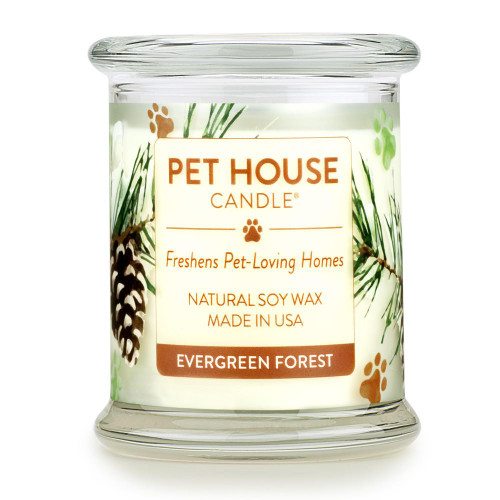 One Fur All Evergreen Forest Candle