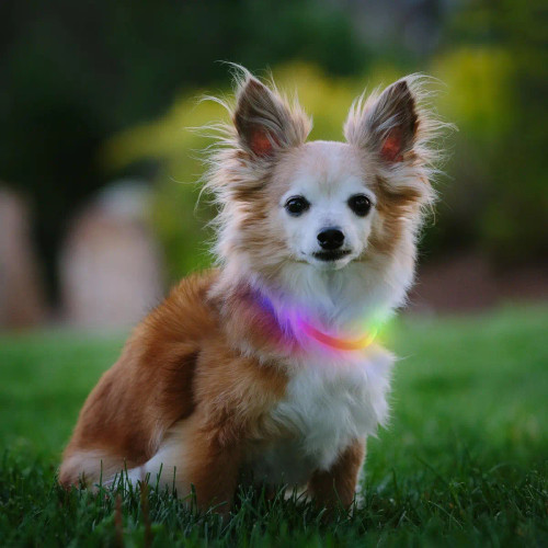 Nite Ize NiteHowl Rechargeable LED Safety Necklace Disc-O Select