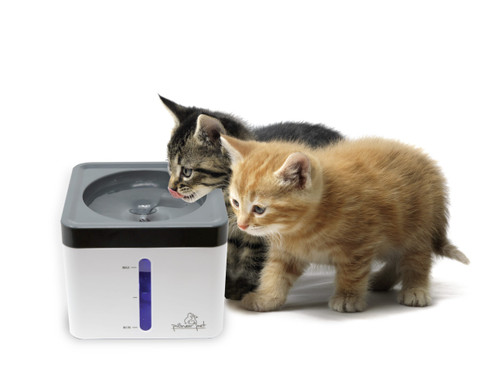Pioneer Pet Mini Vortex Drinking Fountain 80oz Pioneer Pet Mini Vortex Drinking Fountain 80oz