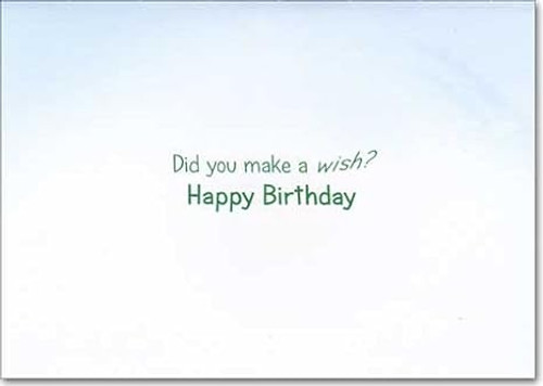 Avanti Press "Did You Make a Wish? Happy Birthday" Birthday Card